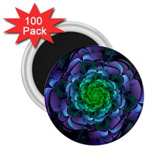 Beautiful Purple & Green Aeonium Arboreum Zwartkop 2.25  Magnets (100 pack) 