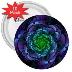 Beautiful Purple & Green Aeonium Arboreum Zwartkop 3  Buttons (10 pack) 