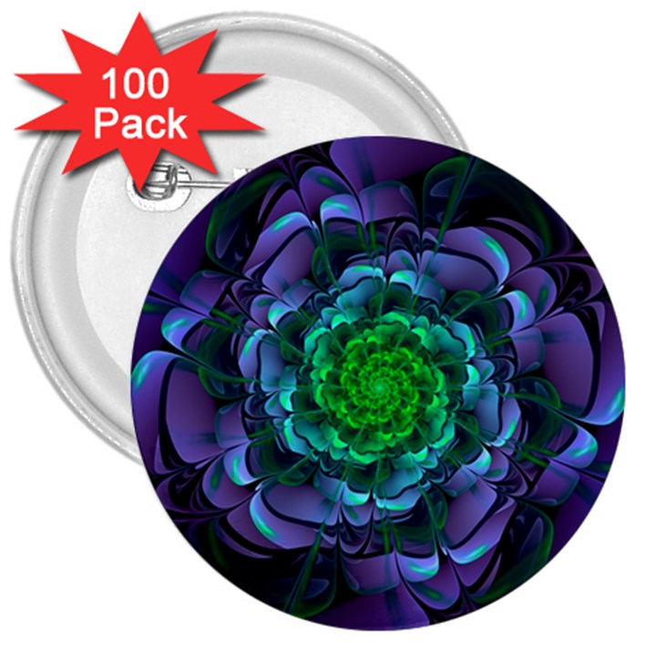 Beautiful Purple & Green Aeonium Arboreum Zwartkop 3  Buttons (100 pack) 