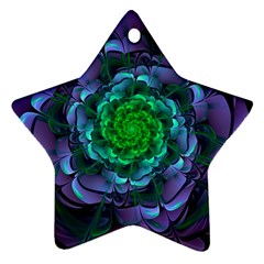 Beautiful Purple & Green Aeonium Arboreum Zwartkop Star Ornament (two Sides) by jayaprime