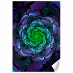 Beautiful Purple & Green Aeonium Arboreum Zwartkop Canvas 20  x 30   19.62 x28.9  Canvas - 1