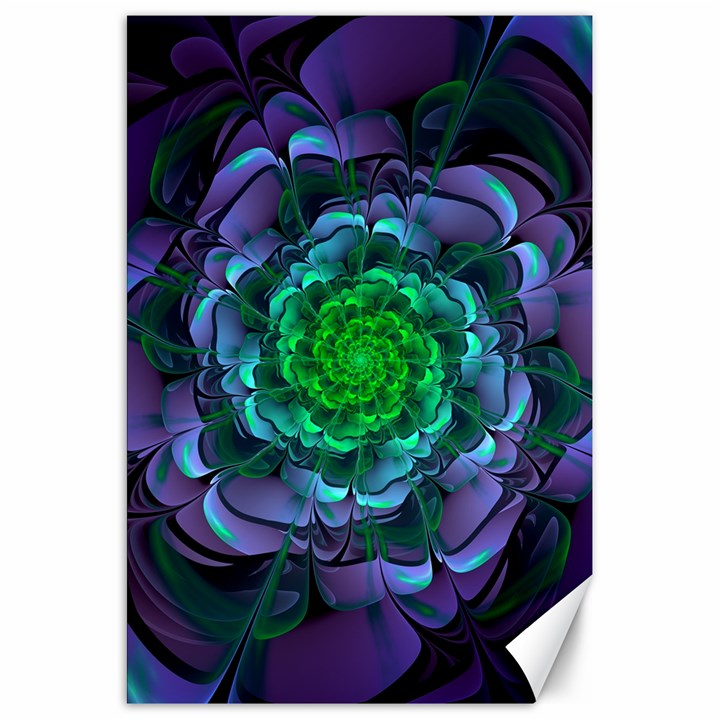 Beautiful Purple & Green Aeonium Arboreum Zwartkop Canvas 20  x 30  