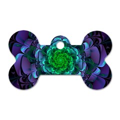 Beautiful Purple & Green Aeonium Arboreum Zwartkop Dog Tag Bone (two Sides) by jayaprime