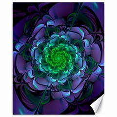 Beautiful Purple & Green Aeonium Arboreum Zwartkop Canvas 11  X 14   by jayaprime