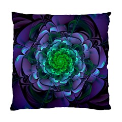 Beautiful Purple & Green Aeonium Arboreum Zwartkop Standard Cushion Case (one Side) by jayaprime