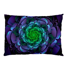 Beautiful Purple & Green Aeonium Arboreum Zwartkop Pillow Case by jayaprime