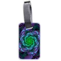 Beautiful Purple & Green Aeonium Arboreum Zwartkop Luggage Tags (Two Sides)