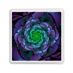 Beautiful Purple & Green Aeonium Arboreum Zwartkop Memory Card Reader (square)  by jayaprime