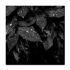 Black And White Leaves Photo Tile Coasters by dflcprintsclothing