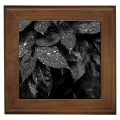 Black and White Leaves Photo Framed Tiles