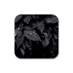 Black And White Leaves Photo Rubber Square Coaster (4 Pack)  by dflcprintsclothing