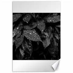 Black and White Leaves Photo Canvas 12  x 18  