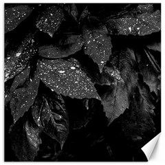 Black And White Leaves Photo Canvas 16  X 16   by dflcprintsclothing