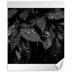 Black and White Leaves Photo Canvas 16  x 20  