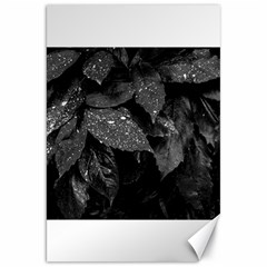 Black and White Leaves Photo Canvas 20  x 30  