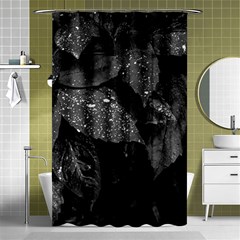 Black and White Leaves Photo Shower Curtain 48  x 72  (Small) 