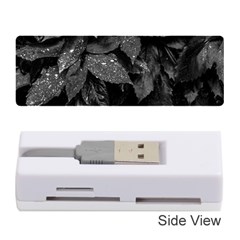 Black And White Leaves Photo Memory Card Reader (stick)  by dflcprintsclothing