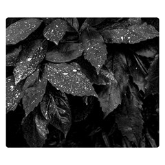 Black and White Leaves Photo Double Sided Flano Blanket (Small) 