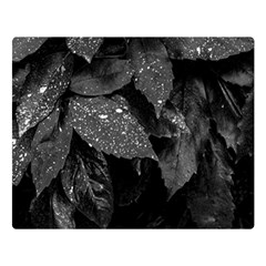 Black and White Leaves Photo Double Sided Flano Blanket (Large) 