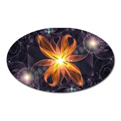 Beautiful Orange Star Lily Fractal Flower At Night Oval Magnet by jayaprime