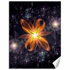 Beautiful Orange Star Lily Fractal Flower At Night Canvas 12  X 16   by jayaprime