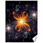 Beautiful Orange Star Lily Fractal Flower at Night Canvas 12  x 16   11.86 x15.41  Canvas - 1