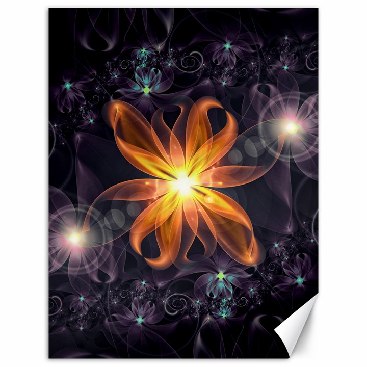 Beautiful Orange Star Lily Fractal Flower at Night Canvas 12  x 16  