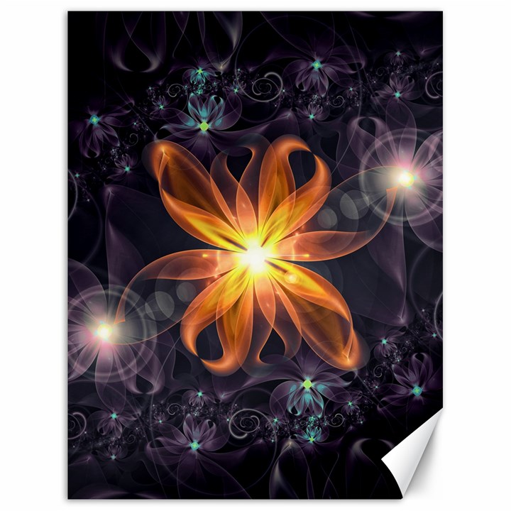 Beautiful Orange Star Lily Fractal Flower at Night Canvas 18  x 24  