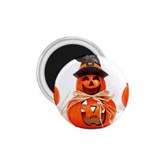 Funny Halloween Pumpkins 1 75  Magnets by gothicandhalloweenstore