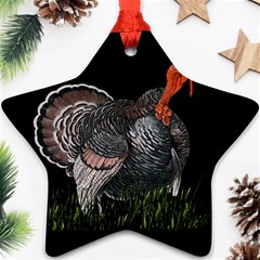 Thanksgiving Turkey Star Ornament (two Sides) by Valentinaart