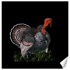 Thanksgiving Turkey Canvas 20  X 20  