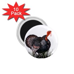 Thanksgiving Turkey 1.75  Magnets (10 pack) 