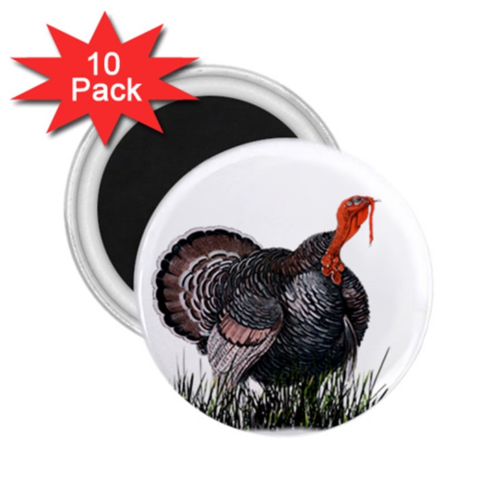 Thanksgiving Turkey 2.25  Magnets (10 pack) 