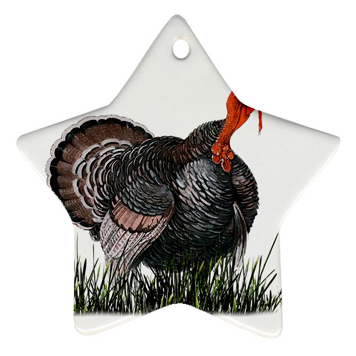 Thanksgiving Turkey Star Ornament (Two Sides)