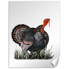 Thanksgiving Turkey Canvas 18  x 24  