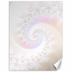 Mother Of Pearls Luxurious Fractal Spiral Necklace Canvas 18  X 24   by jayaprime