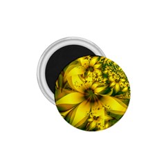 Beautiful Yellow-green Meadow Of Daffodil Flowers 1 75  Magnets by jayaprime