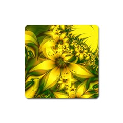 Beautiful Yellow-green Meadow Of Daffodil Flowers Square Magnet by jayaprime