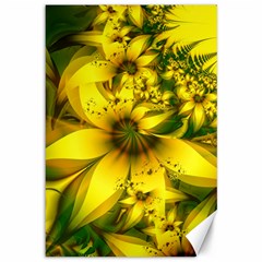 Beautiful Yellow-green Meadow Of Daffodil Flowers Canvas 12  X 18   by jayaprime