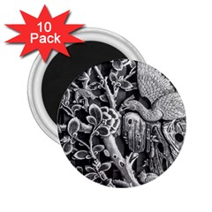 Black And White Pattern Texture 2 25  Magnets (10 Pack)  by Celenk