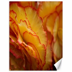 Flowers Leaves Leaf Floral Summer Canvas 18  X 24   by Celenk