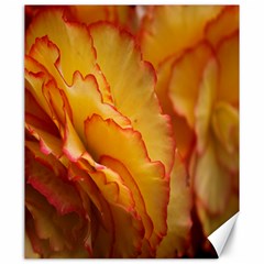 Flowers Leaves Leaf Floral Summer Canvas 20  X 24   by Celenk