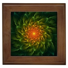 Beautiful Orange-green Desert Cactus Fractalspiral Framed Tiles by jayaprime