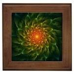 Beautiful Orange-Green Desert Cactus Fractalspiral Framed Tiles Front