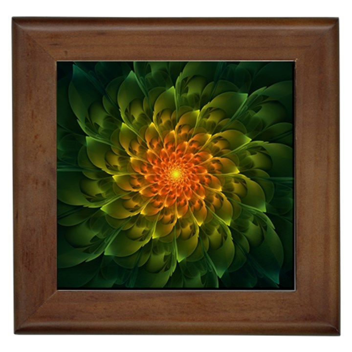 Beautiful Orange-Green Desert Cactus Fractalspiral Framed Tiles