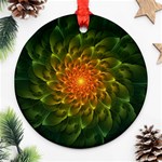 Beautiful Orange-Green Desert Cactus Fractalspiral Ornament (Round) Front