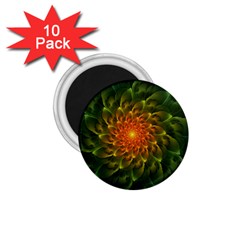 Beautiful Orange-green Desert Cactus Fractalspiral 1 75  Magnets (10 Pack)  by jayaprime