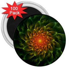 Beautiful Orange-green Desert Cactus Fractalspiral 3  Magnets (100 Pack) by jayaprime