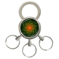 Beautiful Orange-green Desert Cactus Fractalspiral 3-ring Key Chains by jayaprime