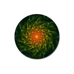 Beautiful Orange-green Desert Cactus Fractalspiral Magnet 3  (round) by jayaprime